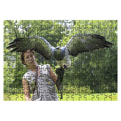 토이타운인터내셔널 다모아 시험관 퍼즐, 180피스, 새의기도