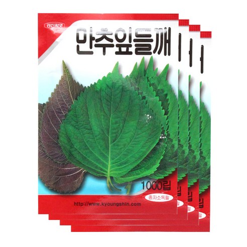 모리앤 만추잎들깨 씨앗, 4개