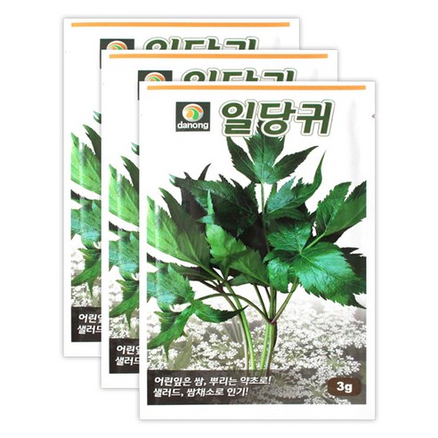 모리앤 다농 일당귀 씨앗, 3개