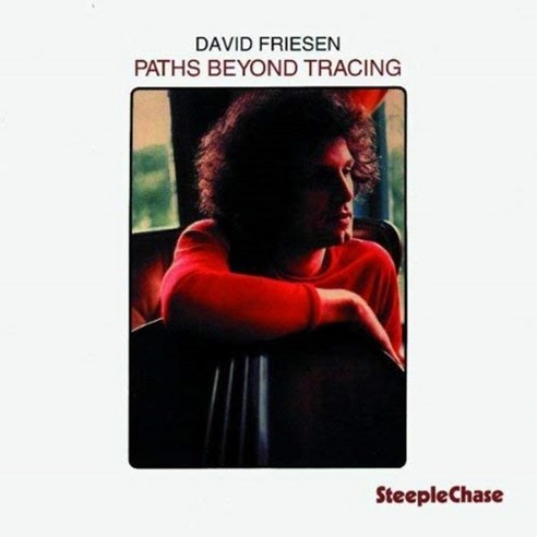 David Friesen - Paths Beyond Tracing EU수입반, 1CD