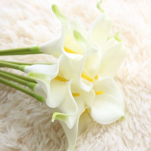 블럭마트 카라 조화 6p, 혼합색상
