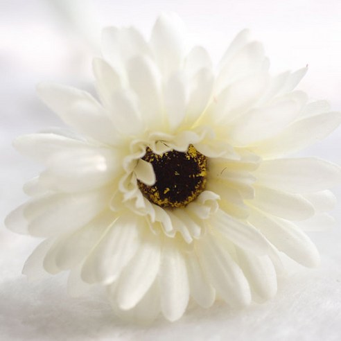 블럭마트 조화 거베라 국화꽃 5p, 아이보리