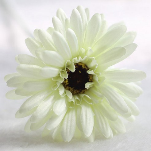 블럭마트 조화 거베라 국화꽃 5p, 라이트그린