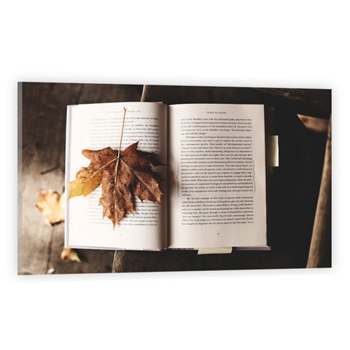 유브이디에스 아트보드 주방시트지 나뭇잎과 책, 1개