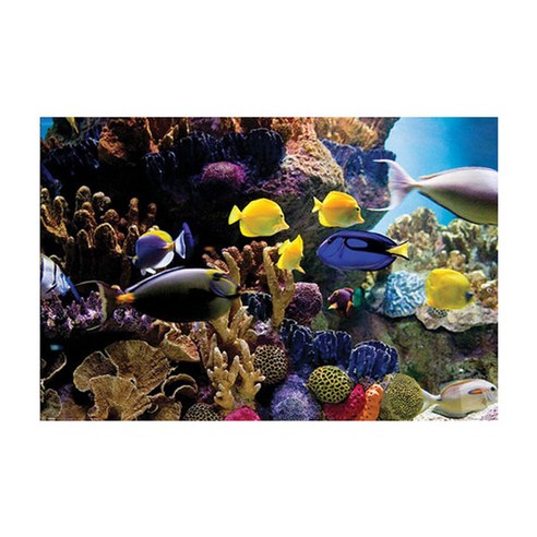 하트아트컬랙션 인테리어 포스터 Tropical Fish&Coral