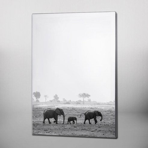 RYMD Elephant 엣지 액자, 블랙 비조플렉스 Best Top5 RYMD Elephant 엣지 액자, 블랙 비조플렉스 Best Top5