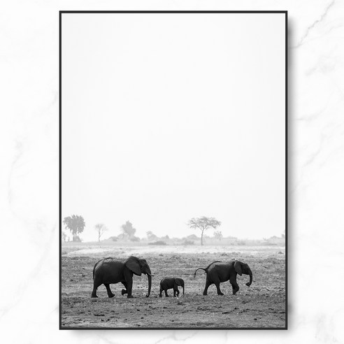 RYMD Elephant 수지, 블랙
