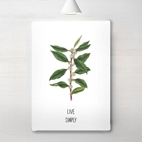 RYMD Live simple green 캔버스 액자