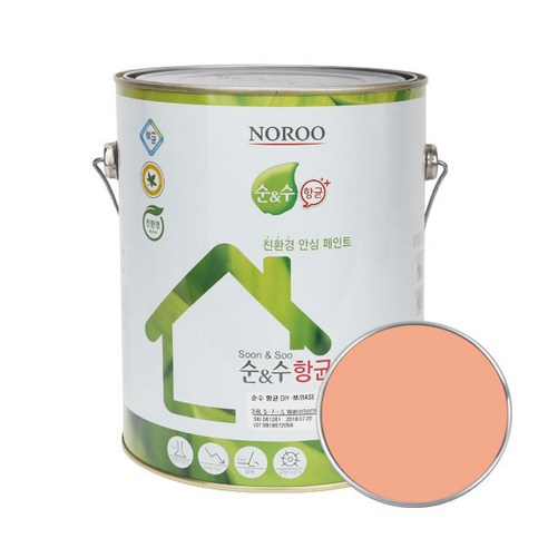 순앤수 항균 DIY 페인트 4L, NR2005