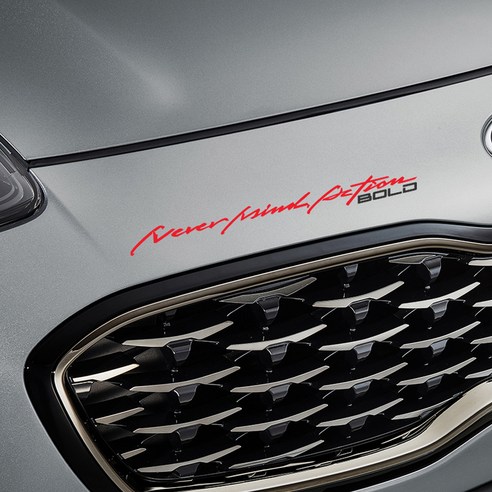 그리븐 기아 스포티지 더볼드 자동차 데칼 스티커 레터링 + 로고 10316 45cm, 레드, 다크그레이, 1세트