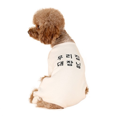 윙키뉴욕 강아지옷 우리집대장님 올인원, White