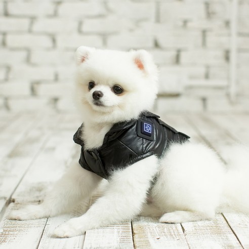 골드브랜치 강아지 스마트발열 패딩조끼 + 보조배터리, 블랙