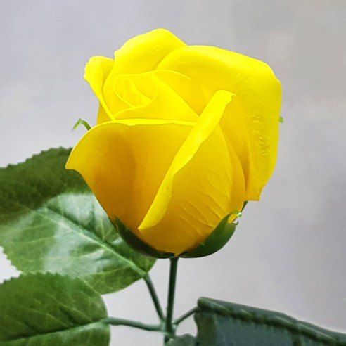 블랙앤화이트 비누꽃 2겹장미 50p + 잎사귀꽃대, 노랑