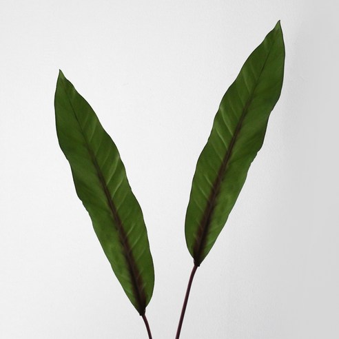 블루밍앤미 조화 하와이안 leaf 2p, 그린, 2개
