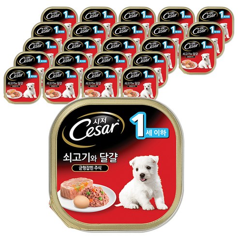 시저 반려견 주식캔 퍼피 쇠고기와 달걀, 쇠고기+계란, 24개입