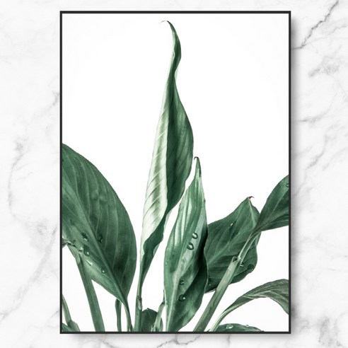 RYMD 인테리어 그림 식물 포스터 플랜티