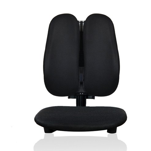 이편한의자 메쉬 의자 Q3000, 블랙