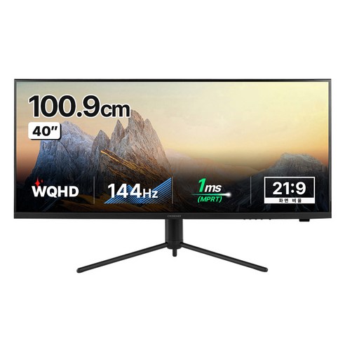 크로스오버 WQHD IPS TYPE C PD 평면 모니터, 100.9cm, 40QQ3(일반)