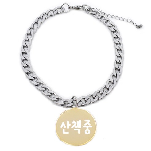 펫츠룩 써지컬 반려동물 체인A 원형 산책중, 골드