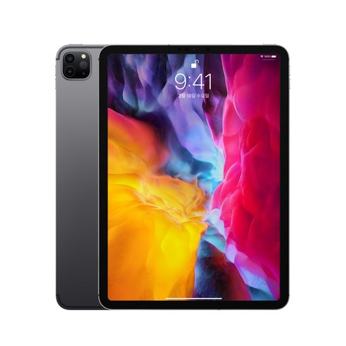 Apple 2020년 iPad Pro 11 2세대, Wi-Fi+Cellular, 256GB, Space Gray