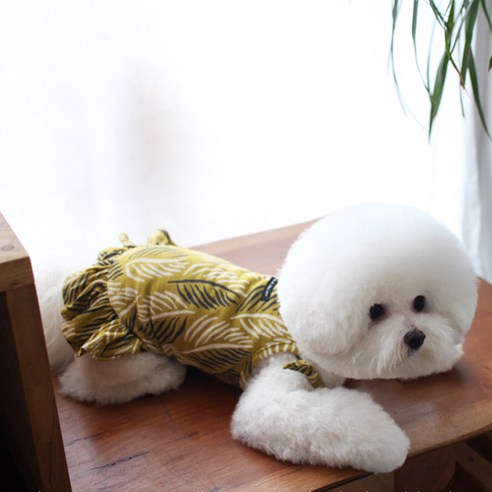 로로독 반려동물 몰리브 슬리브리스 원피스, 올리브