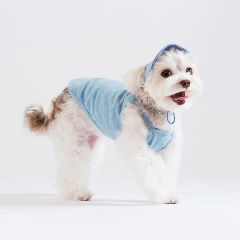 스니프 멜란지나시 강아지 티셔츠, 라이트블루