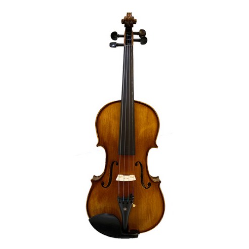심바이올린 입문용 바이올린 4/4 + 케이스, SV-300, 혼합색상
