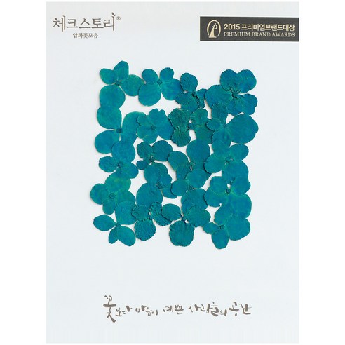 체크스토리 압화꽃송이 수국염색, 청록
