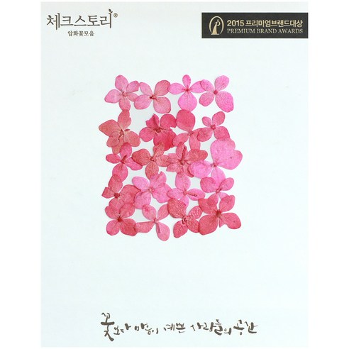 체크스토리 압화꽃송이 수국, 핑크 02