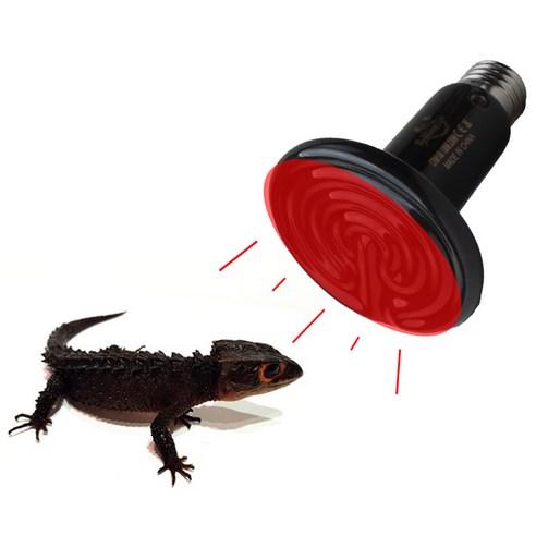 로라펫 세라믹 히팅 램프 50W