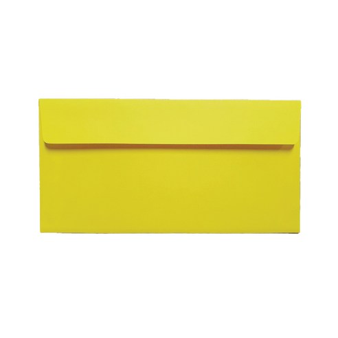 컬러색지 초대장 청첩장 리플릿 카드봉투 220 x 105 mm, 황색, 100개
