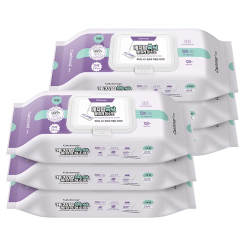 캐치맙 쓱싹 물걸레청소포 대형 25매 x 6p, 6개