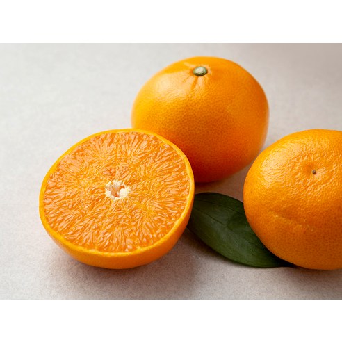 만감류의 보고, 고당도 천혜향