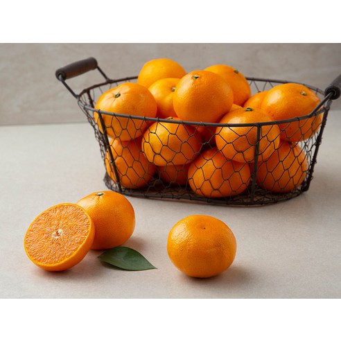 만감류의 보고, 고당도 천혜향