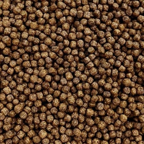 빛깔 고운 금붕어를 위한 프리미엄 선택, 구딘 잉어 사료!