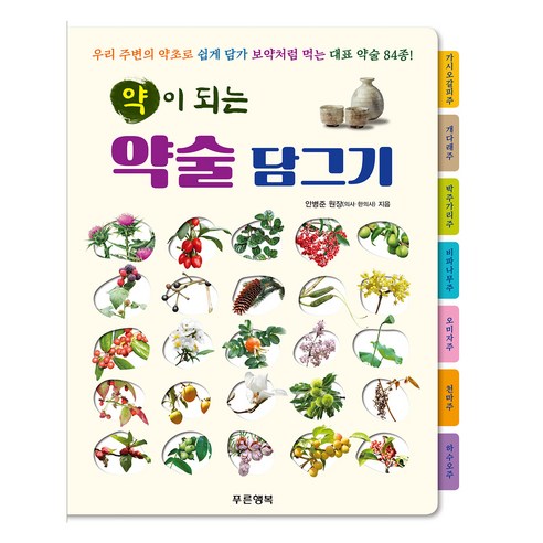 약이 되는 약술 담그기:우리 주변 약초로 쉽게 담가 보약처럼 먹는 대표 약술 84종!, 푸른행복, 안병준