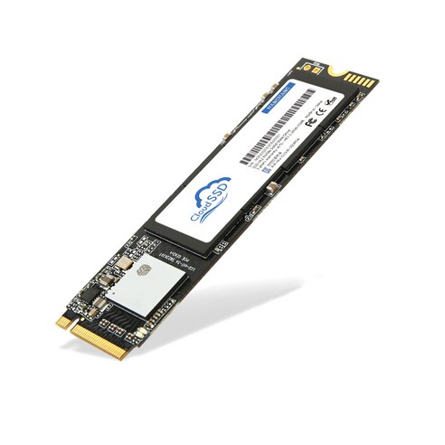 한창코퍼레이션 CLOUD SSD M.2 NVMe, 256GB