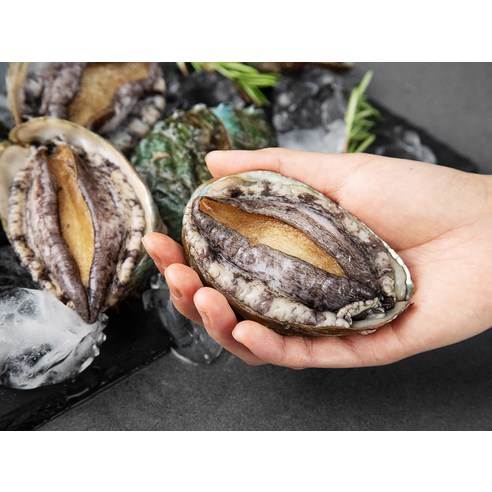 푸르른 바다의 맛을 선물하세요