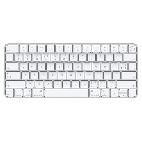 Apple Silicon 장착 Mac용 Magic Keyboard Touch ID 탑재 중국어 병음, 텐키리스, MK293KC/A, 혼합색상