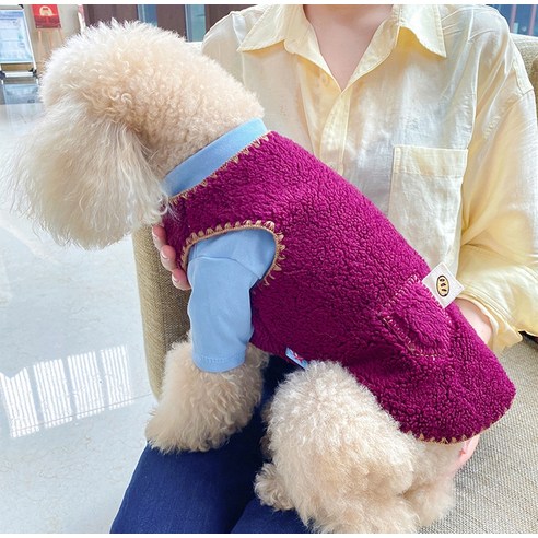 伴侶  寵物產品  小狗  貓  聯合使用  服裝  外衣  狗  狗  狗