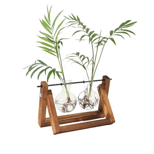 園藝  園藝  用品  園藝  水培  栽培  水培  盆栽  deco  Daeco