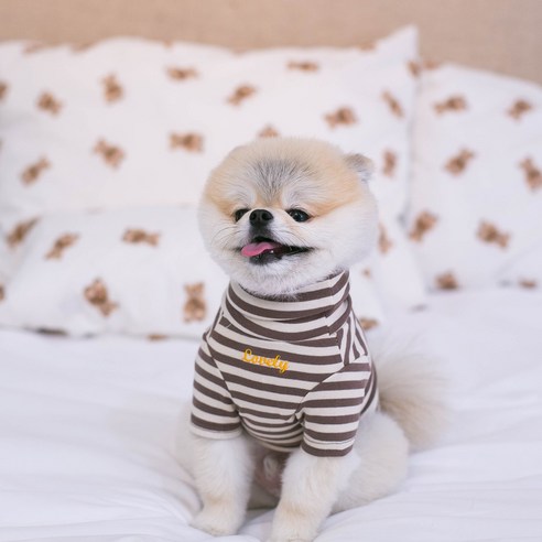 에이미러브즈펫 강아지 스트라이프 목폴라 티셔츠, 브라운