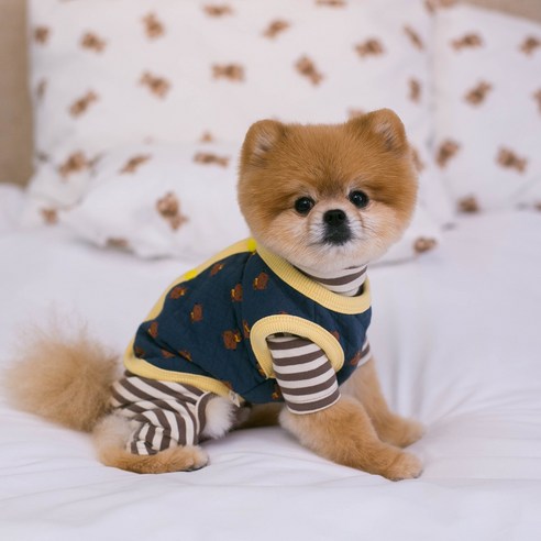 伴侶  寵物產品  小狗  貓  聯合使用  服裝  外衣  狗  狗  狗