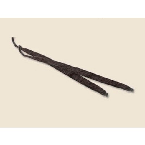 깊고 풍부한 바닐라 향으로 일상에 특별함을 더하세요.