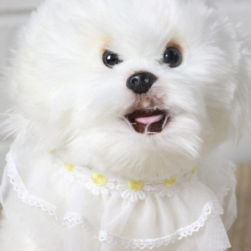 에이미러브즈펫 강아지 고양이 데이지케이프, 옐로우, 1개