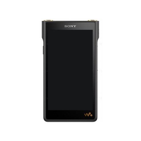 소니 워크맨 128GB, NW-WM1AM2, 블랙
