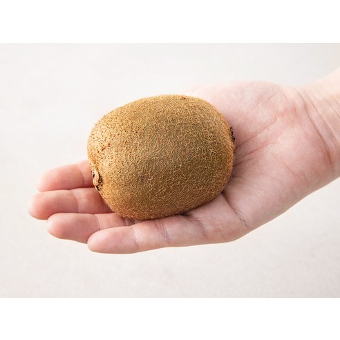 상큼한 아침을 여는 마법, 제스프리 그린 키위