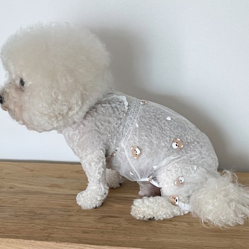바이담수미 반려동물 포인트 곰 올인원, 화이트