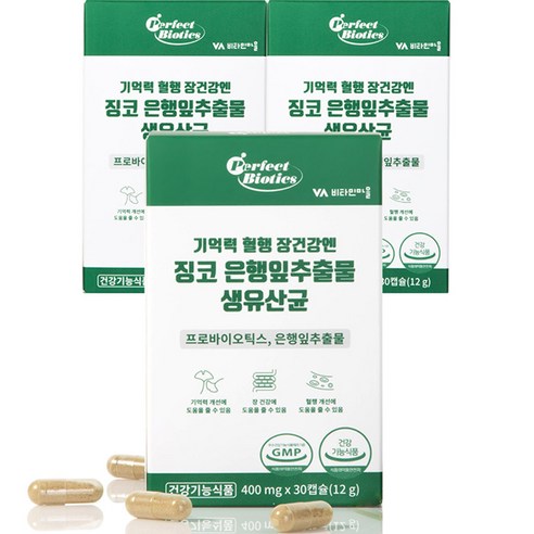 비타민마을 퍼펙트바이오틱스 기억력 혈행 장건강엔 징코 은행잎추출물 생유산균 12g, 3개