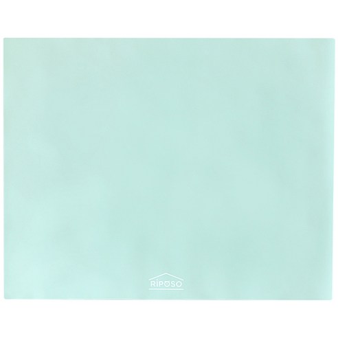 리포소 강아지 양면 펫 방수 실리콘 배변매트 90 x 69 cm, 1개, 민트